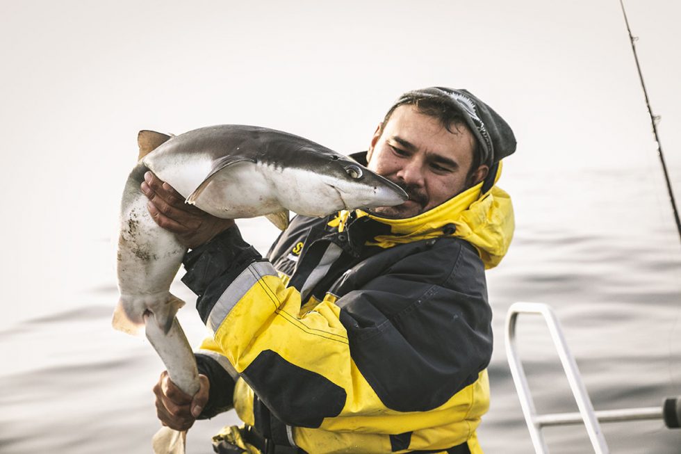 Sula rorbuer og havhotell fiske