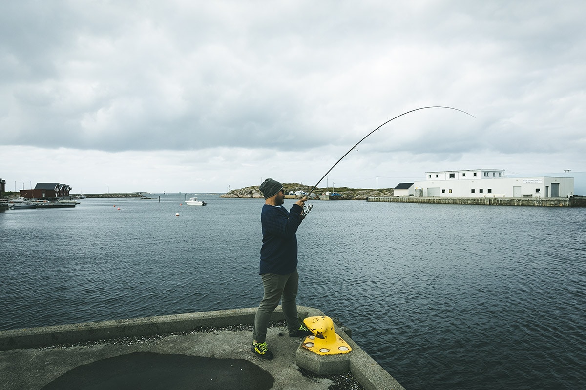 Sula rorbuer og havhotell fiske