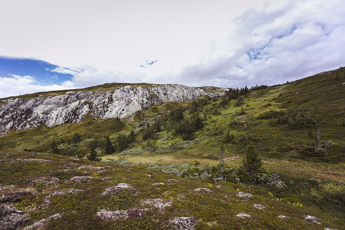 Mullfjället vandringsled