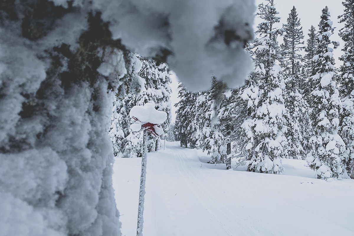 Trillevallen turspår