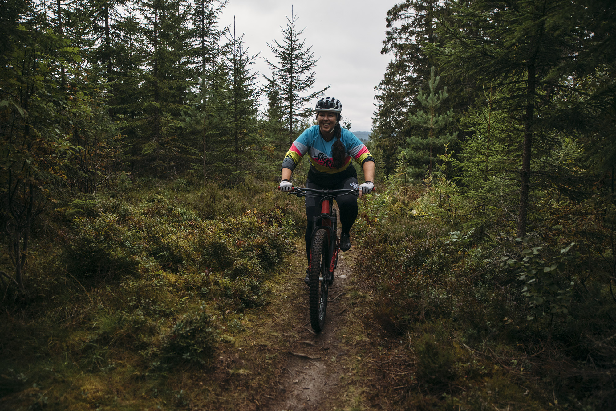 mtb-cykling i säfsen i fin skog med grön mossa