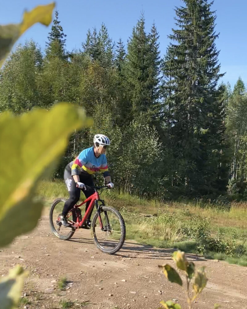 mtb-cykling i säfsen i fin skog med grön mossa