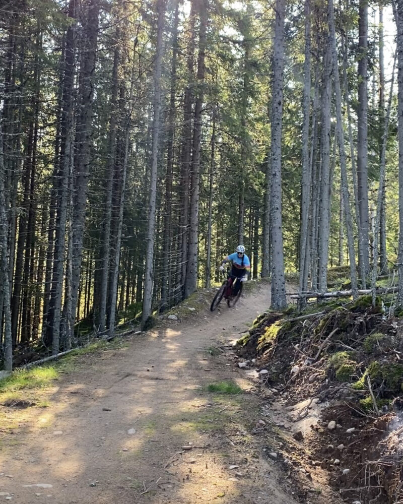 mtb-cykling i säfsen i fin skog med grön mossa