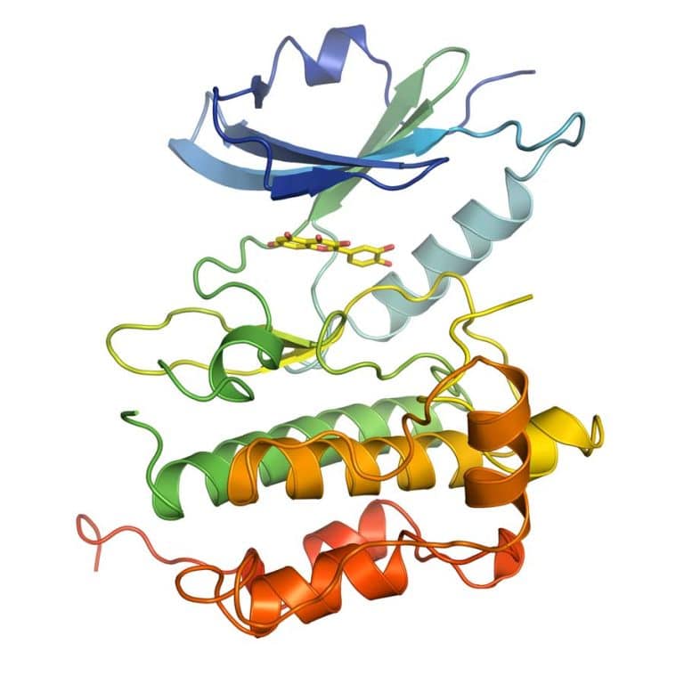 SARomics Biostructures 2018: A Foundation For the Future