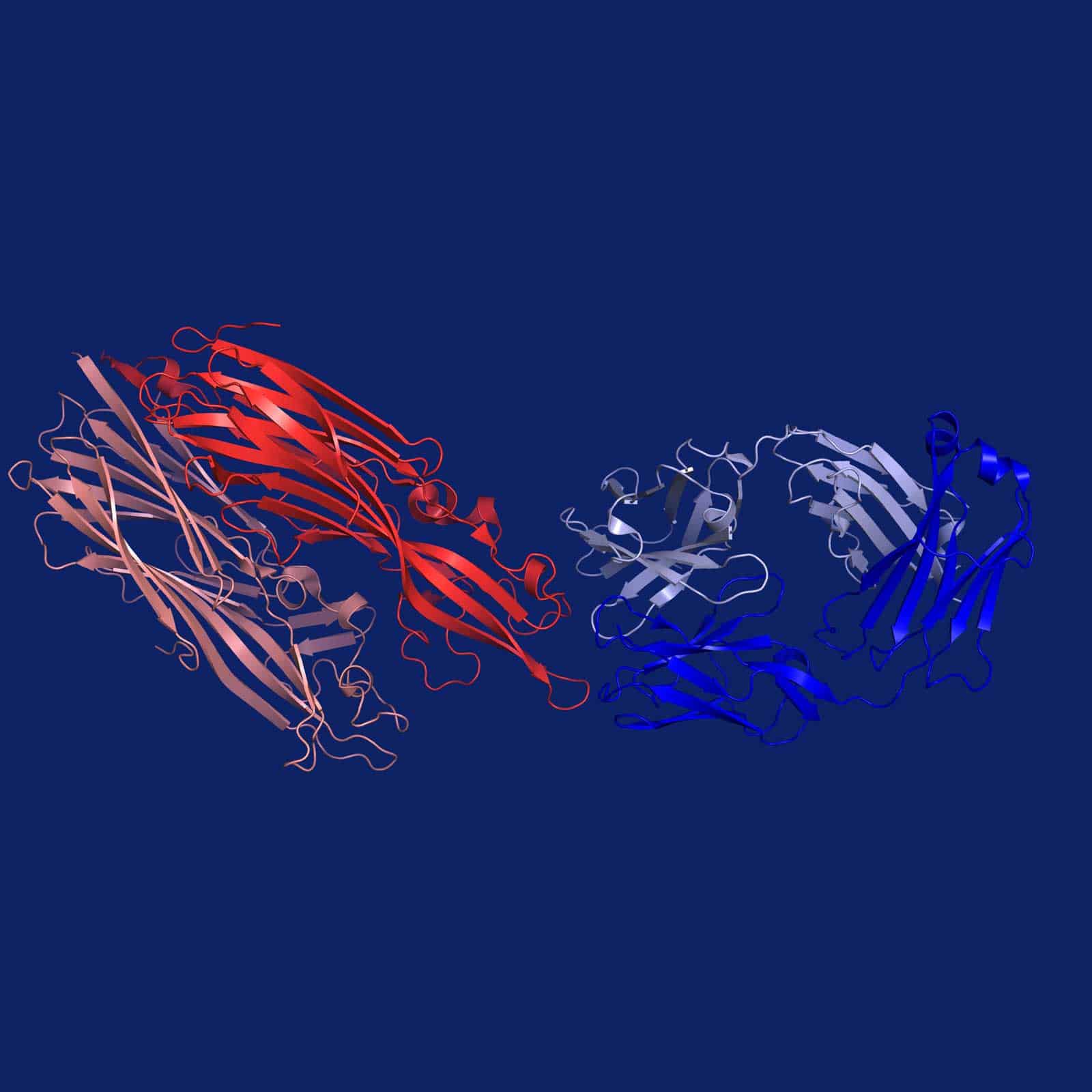 An antibody-antigen complex structure determined by X-ray crystallography