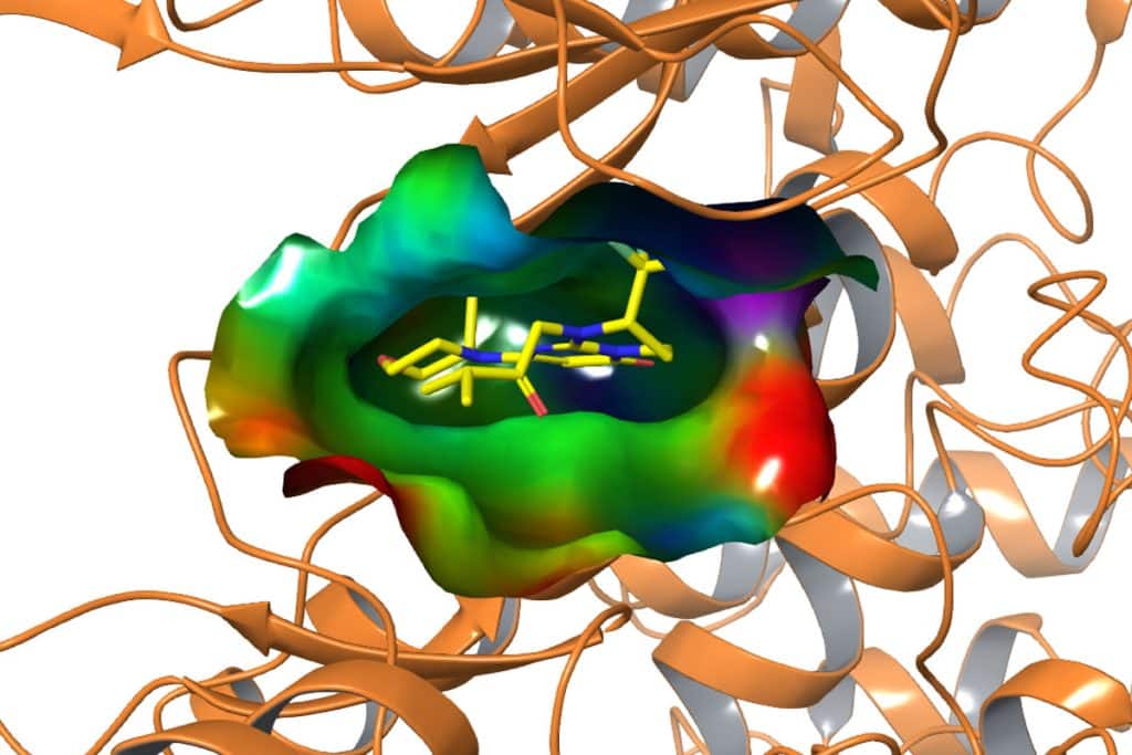 A protein-ligand complex schematic representation