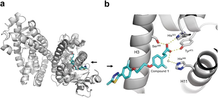 AI-based drug discovery supported by X-ray crystallography