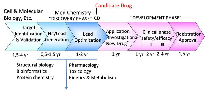 illustration of the stages where structural biology is used in drug discover