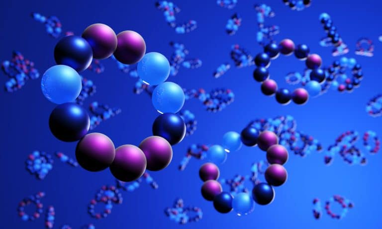 Macrocyclic peptide structures