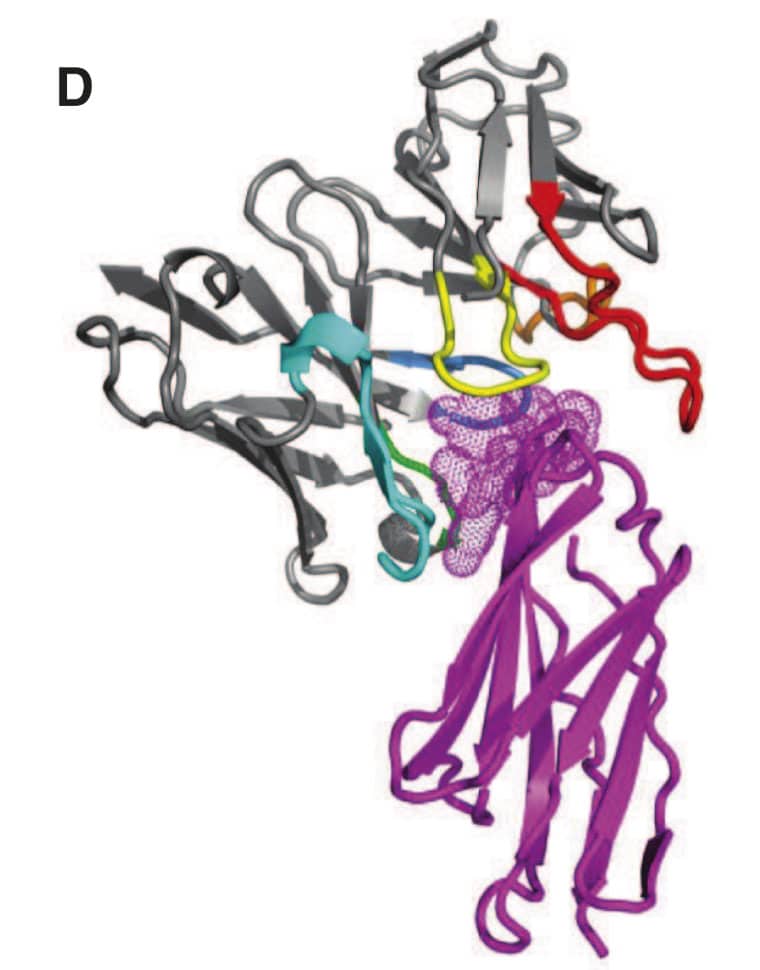 Publications Co-authored By SARomics Biostructures' Team
