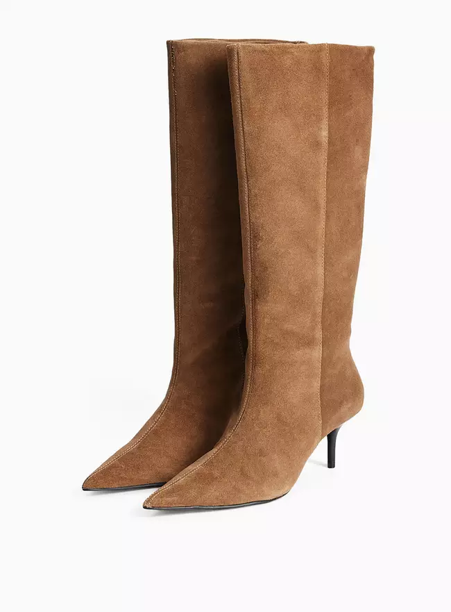 Brown Suede XL Long Leg Pointed Boots 5