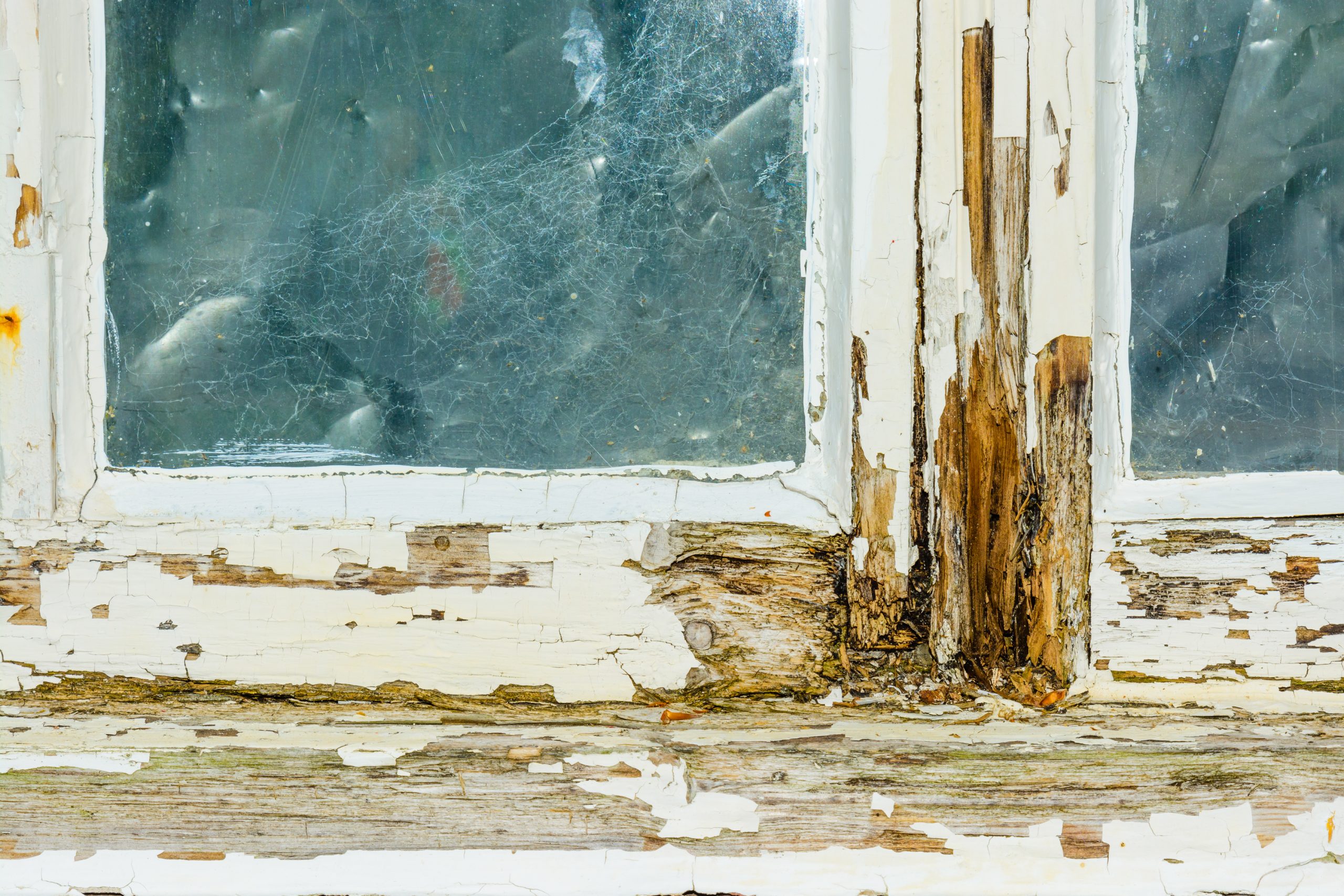 A,Rotten,Window,Frame Rot repair