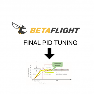 PID Tuning FULL Cinelifter setup