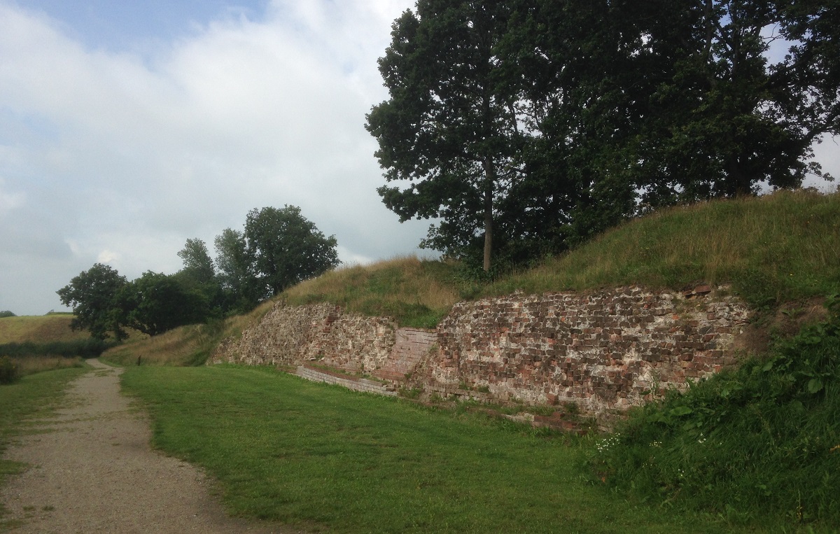 Dansk Folkeparti Dannevirke skal erstatte vildsvinehegn Satyren