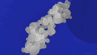 Particulate Contamination