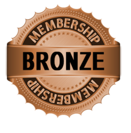 1. Bronze – All courses for 3 months