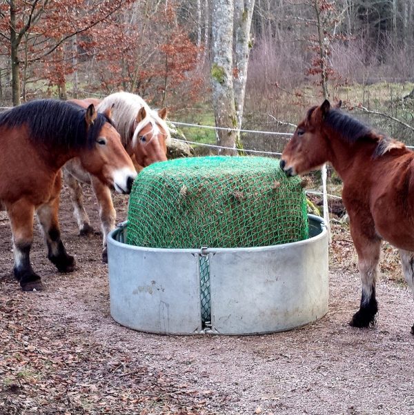 Hönät för rundbal, med hästar