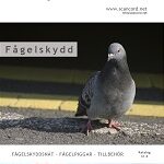 Fågelskydd nr 4