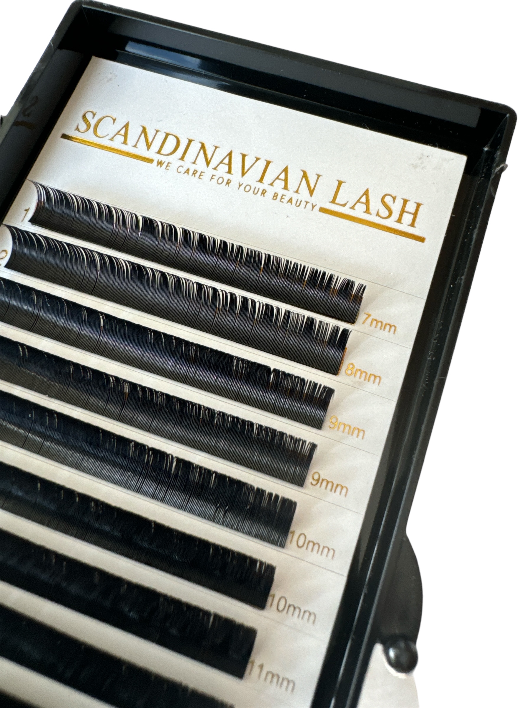 Classic Lash 0.12 C +D