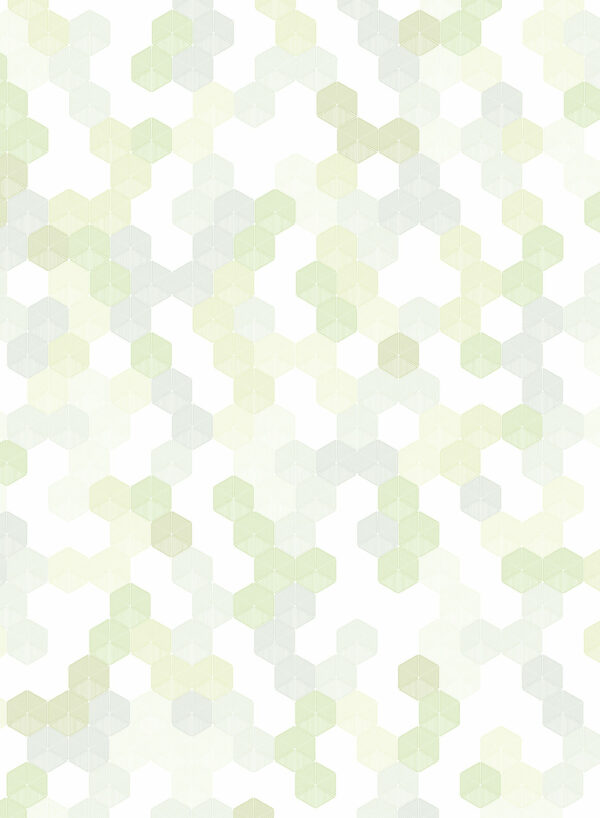 Hexagon-Green-T