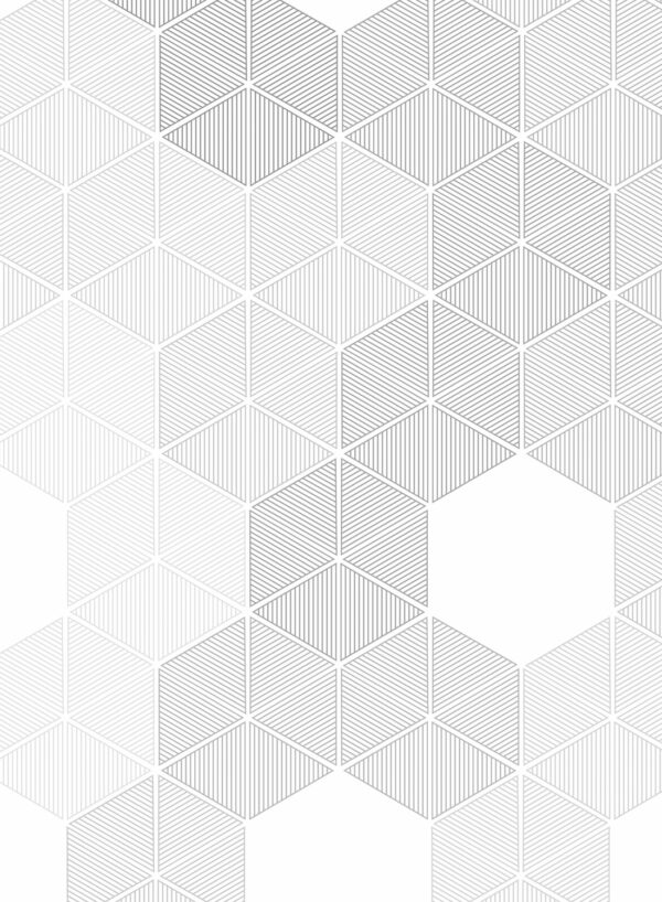 Hexagon-Grey-D2