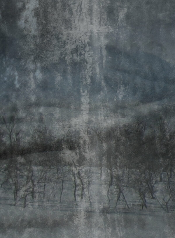 Lost-Landscape-Dark-D2