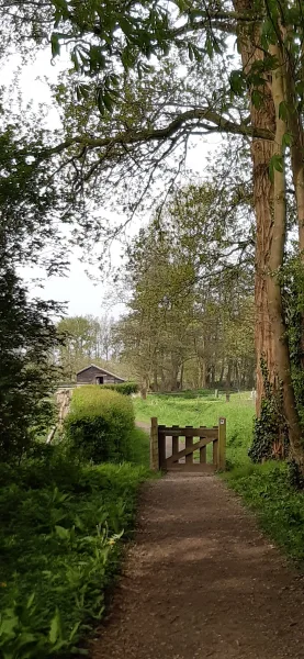 Haag van meidoorn op landgoed Hemmen