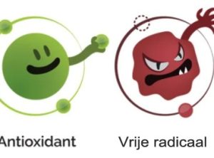 Wat zijn antioxidanten en waarom zijn ze belangrijk voor je gezondheid?