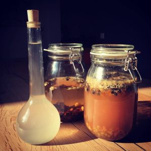 Cursus Making sense(s) of herbs – Hartige variant – Najaar – Zaterdaggroep
