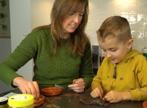 Reishi, of hoe een paddenstoel een allergie verhielp