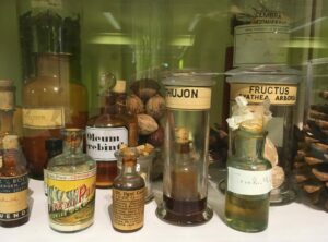 Fytotherapie vs. homeopathie