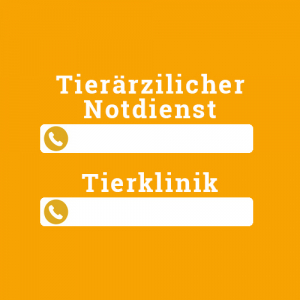 NOTFALL