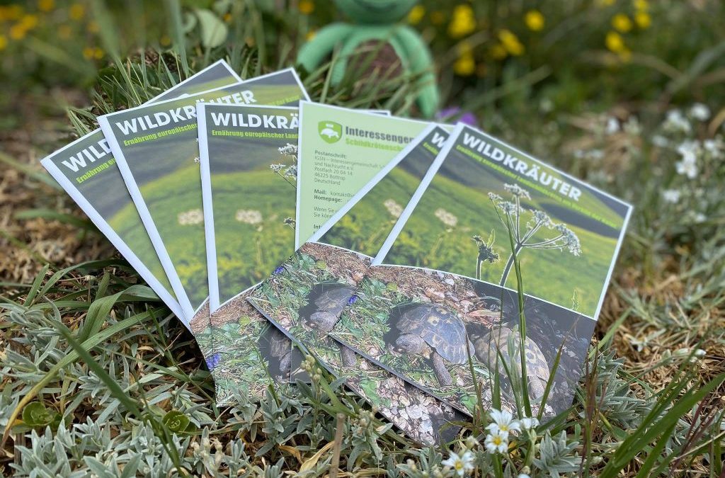 Neue IGSN-Infobroschüren und das Wildkräuterheft