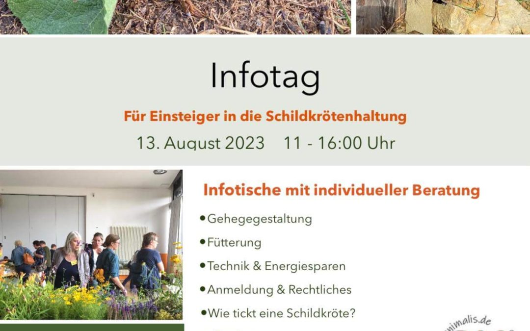 Infotag für Einsteiger in die Schildkrötenhaltung