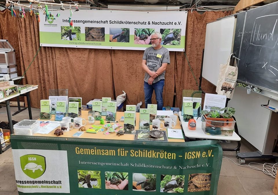 Infostand auf dem Schildkröten Info Tag in Peine