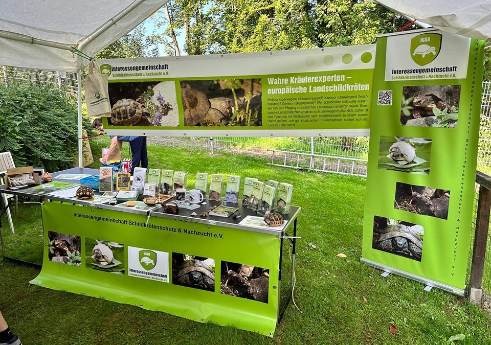 Infostand auf dem Tierheimfest in Detmold