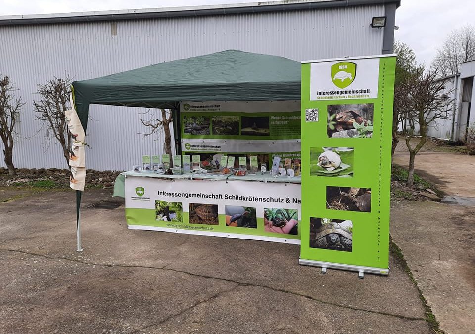 Infostand auf dem Tierheimfest in Minden