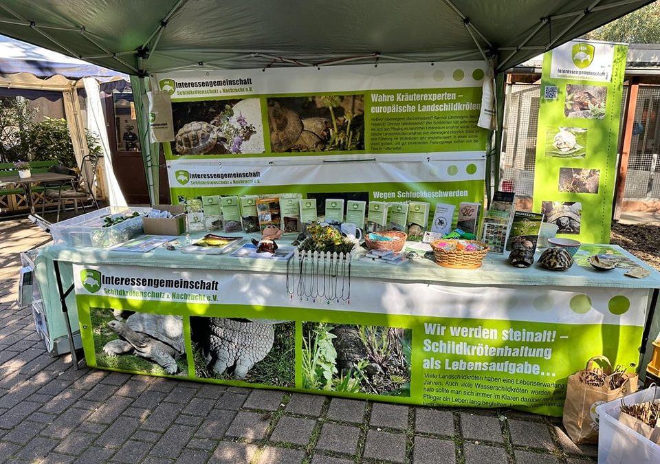 Infostand auf dem Herbstfest im Tierheim Bielefeld