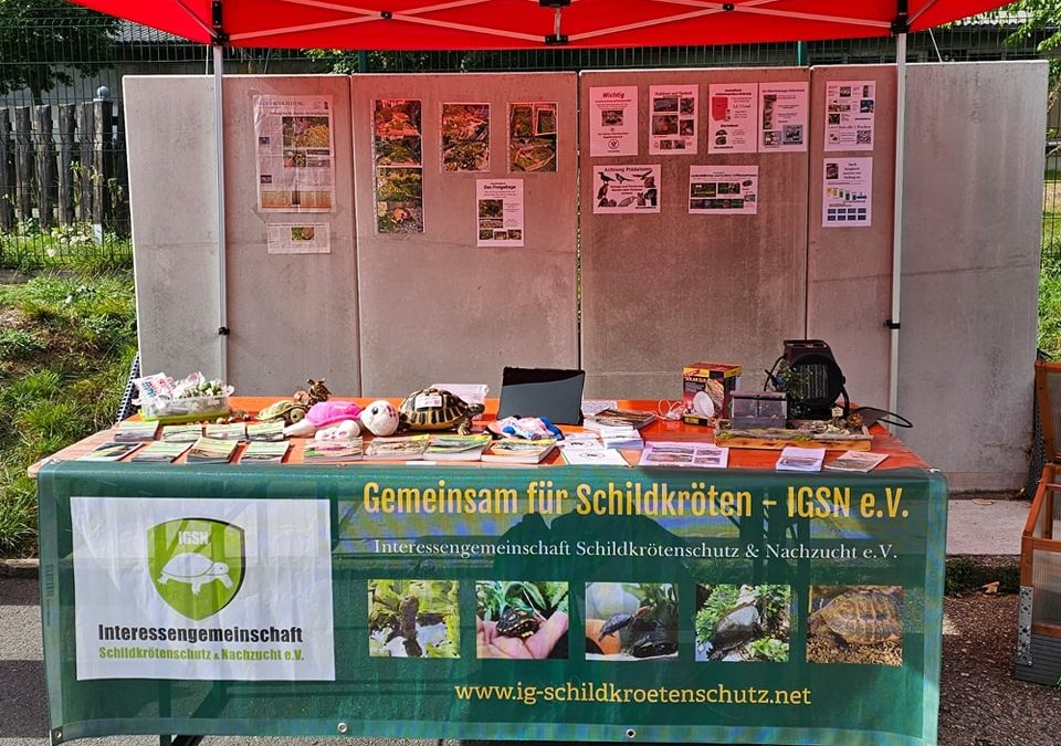 Infostand auf dem 7. Streunersteinfest im Tierheim Freiberg