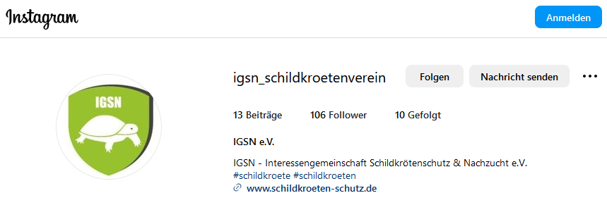 100 Follower auf Instagram