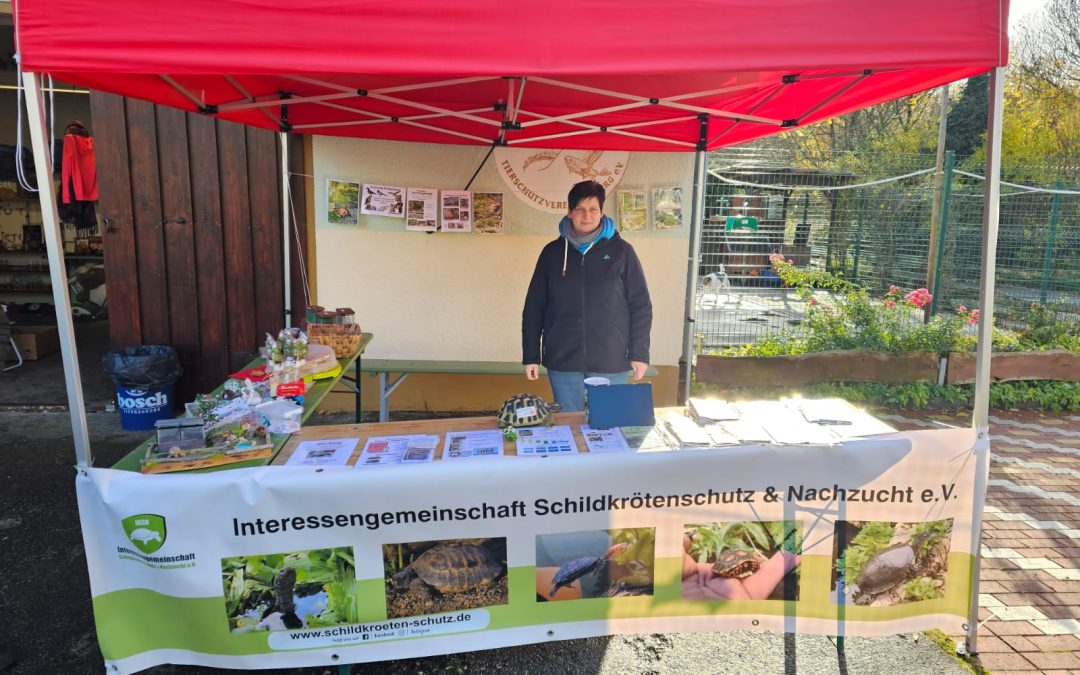 Infostand auf dem auf dem Streunerweihnachtsmarkt im Tierheim „Albert Schweitzer“ in Freiberg.