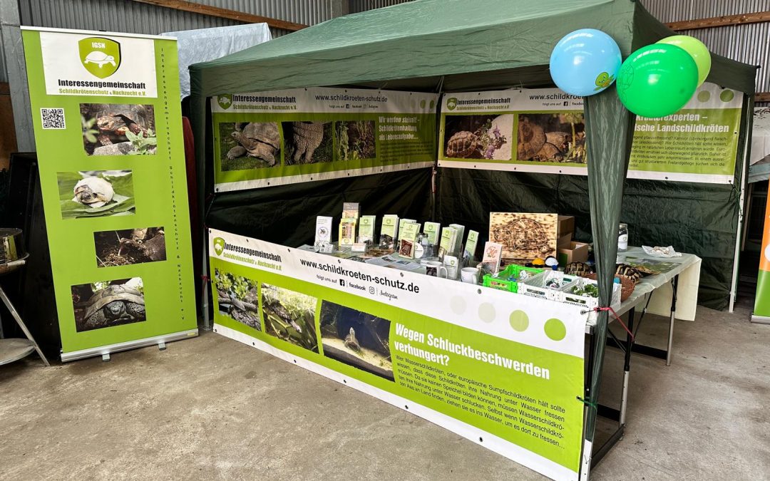 Infostände im Tierheim Minden und auf dem Lichterfest in Dorsten