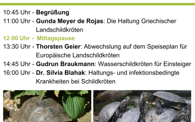 Programm am Schildkrötentag im Tierpark Herford