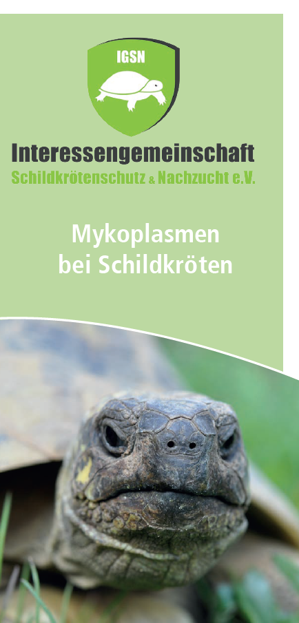 mykoplasmen-schildkroeten