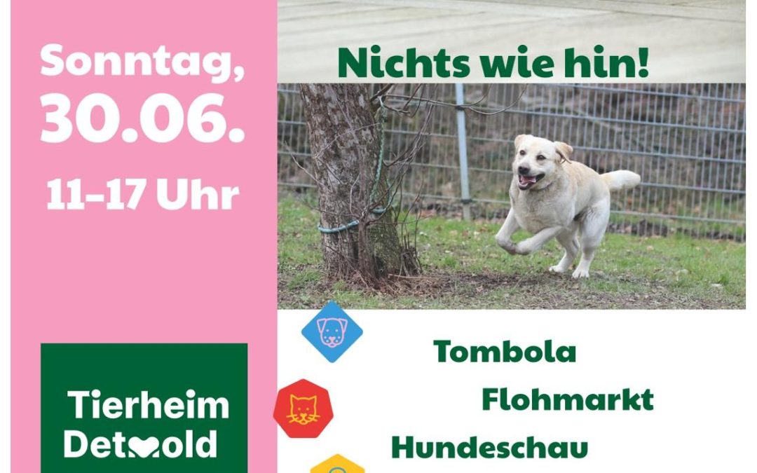 Infostand im Tierheim Detmold