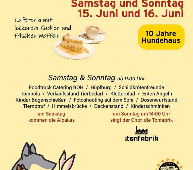 Infostand auf dem Sommerfest im Tierheim Bocholt