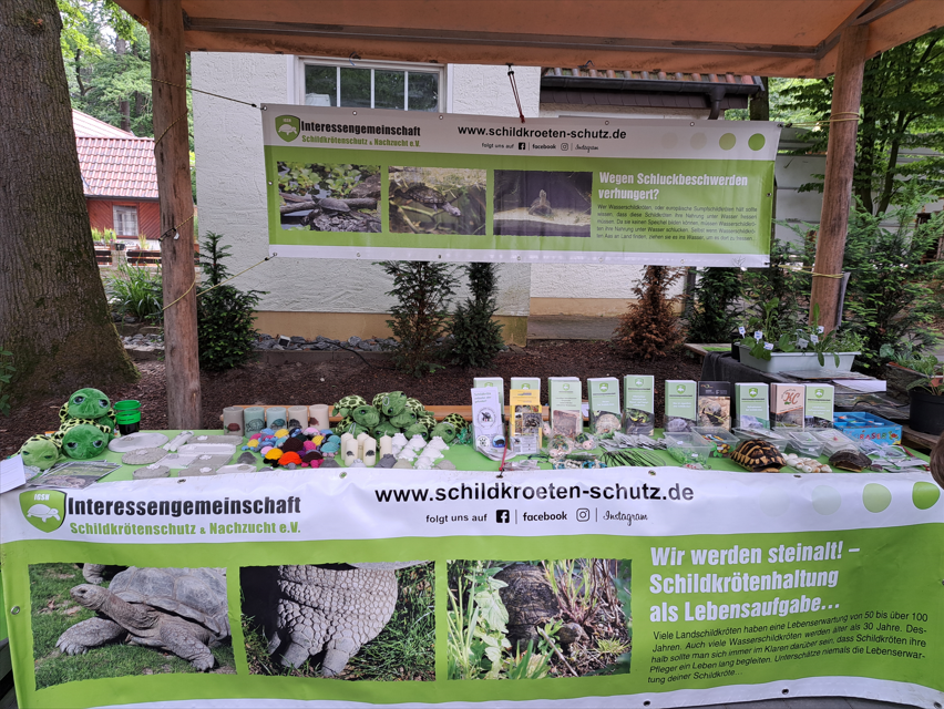 Schildkrötentag im Tierpark Herford