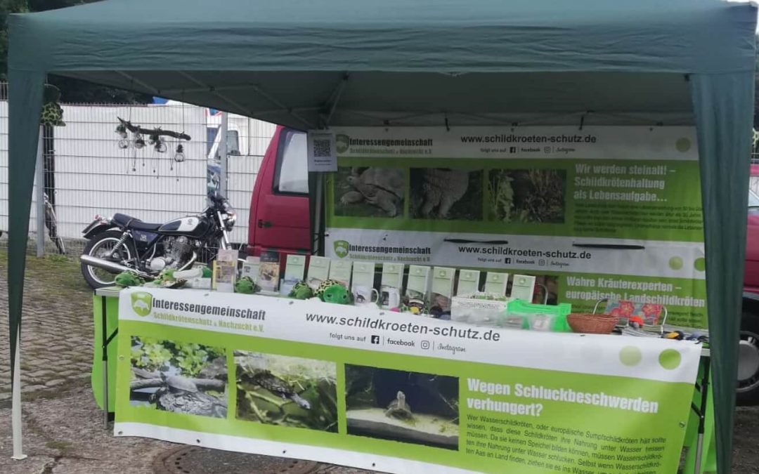 Infostand im Tierheim Minden