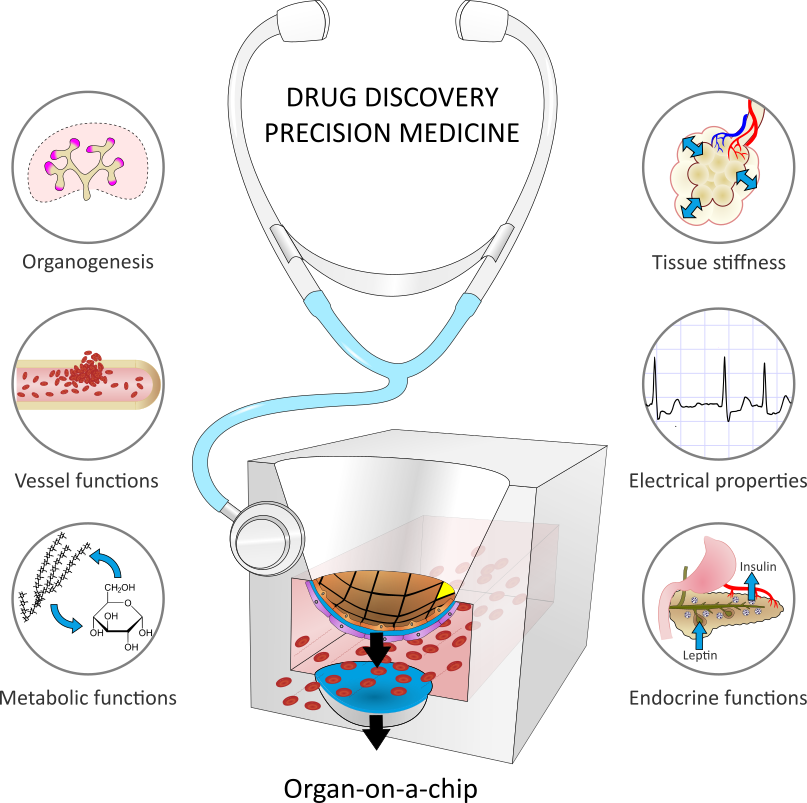 Illustration for scientific review,