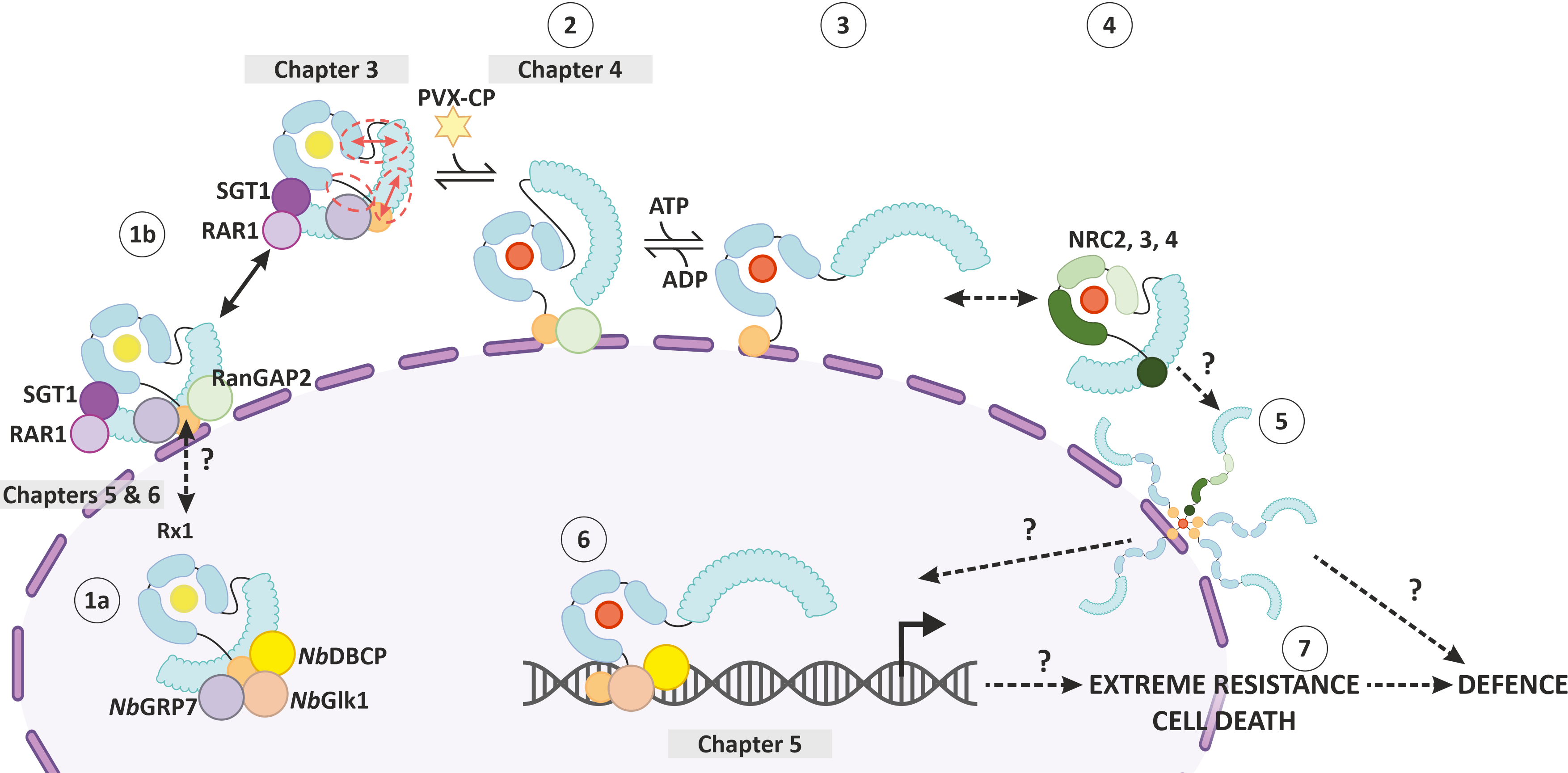 figure for a scientific paper